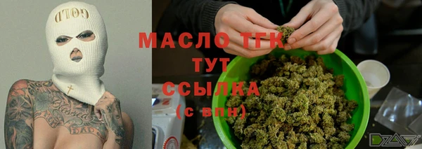 PSILOCYBIN Вяземский